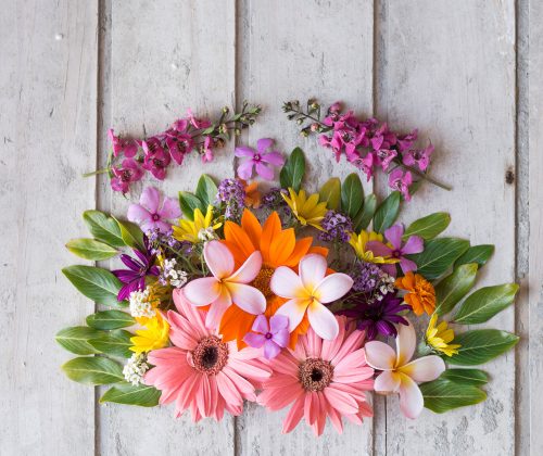 fondo_flores