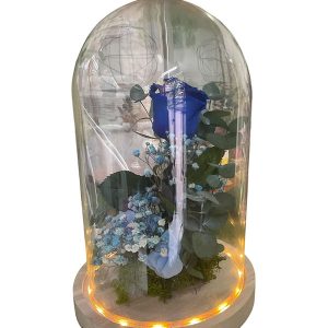 Cúpula de cristal con led. Variedad de colores
