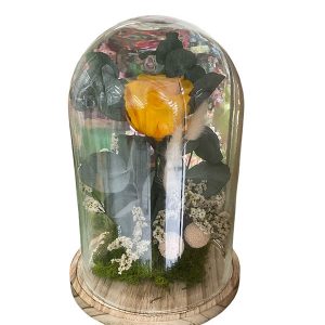 Rosa amarilla preservada en cúpula de cristal