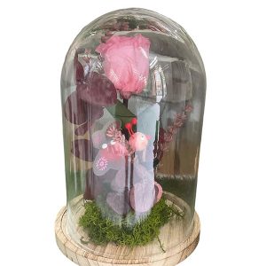 Cúpula rosa preservada